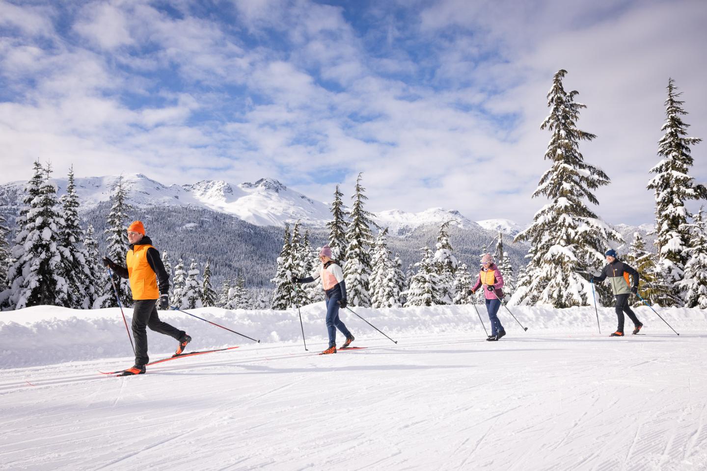 Cross-country skiers on snowy trail with snowy trees and mountains.